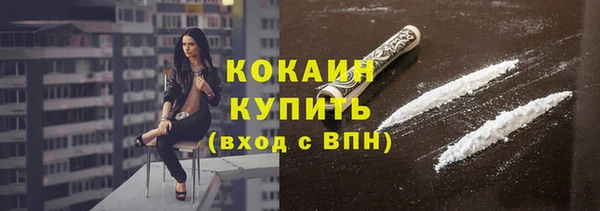 сатива Арсеньев