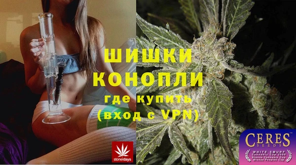 сатива Арсеньев