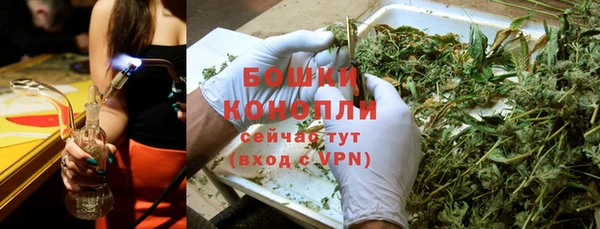 дживик Аркадак