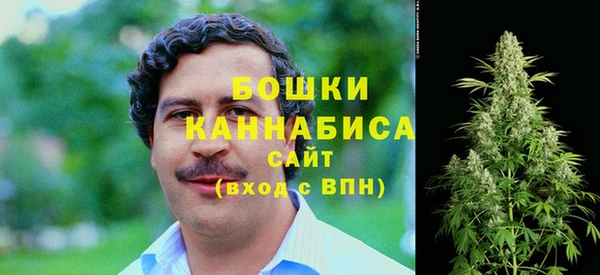 сатива Арсеньев