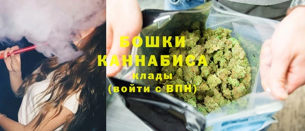 сатива Арсеньев