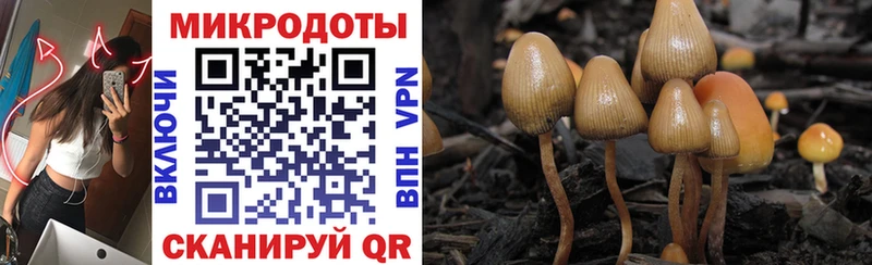 MEGA ссылки  Мосальск  Псилоцибиновые грибы Magic Shrooms 