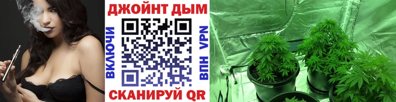 Бошки марихуана SATIVA & INDICA  где можно купить наркотик  Мосальск 